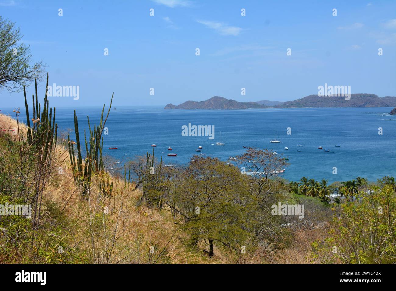 Field and fence at the base of volcano in Costa Rica Stock Photo - Alamy