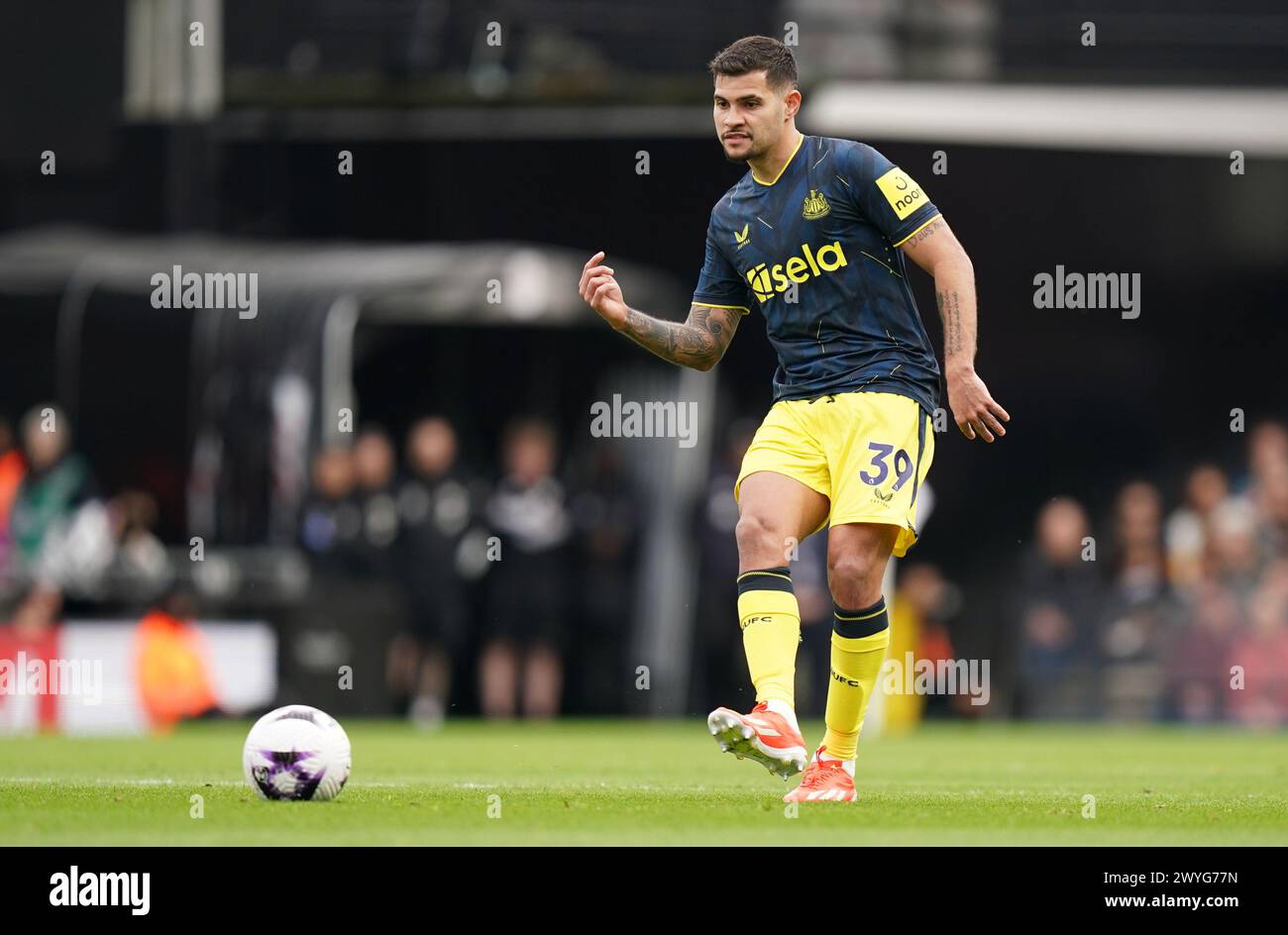 LONDON, ENGLAND - APRIL 6: Bruno Guimarães of Newcastle United during the Premier League match between Fulham FC and Newcastle United at Craven Cottage on April 6, 2024 in London, England.(Photo by Dylan Hepworth/MB Media) Stock Photo