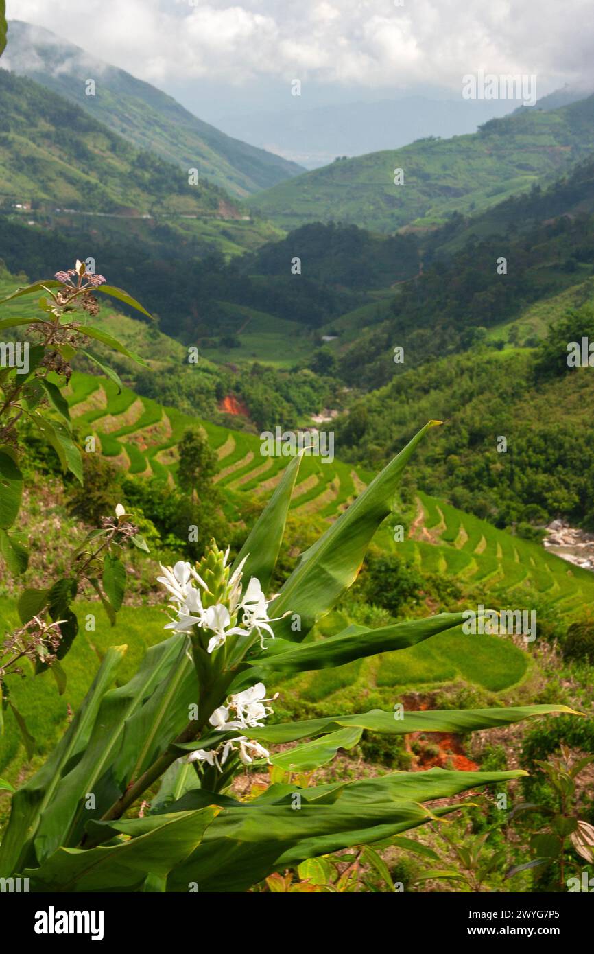 Scenic drive in the mountain highlands of Lao Cai province of northern ...