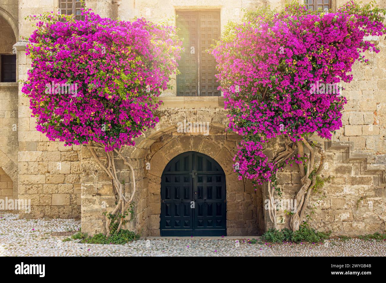 Rhodes Old Town view over old arch shape door and two Bougainvillea flowers growing on sides against ancient brick wall. Beautiful touristic travel. Stock Photo