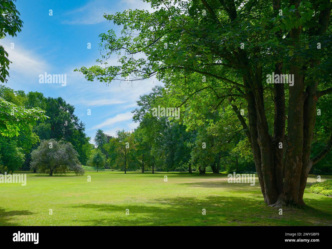 Outdoor park green grass garden hi-res stock photography and images - Alamy