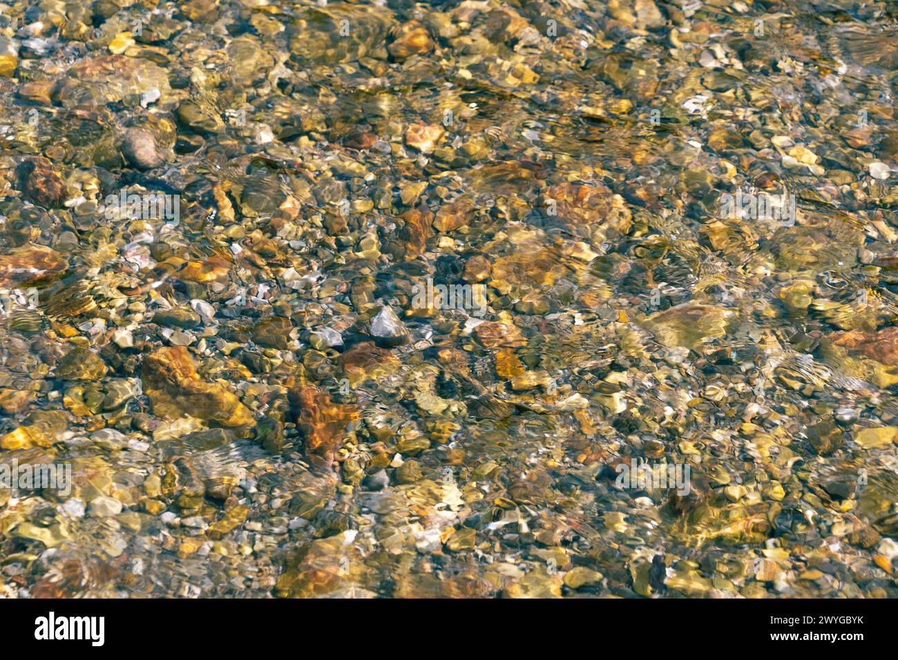 Clean transparent water in a mountain river. Pebbles at the bottom of ...