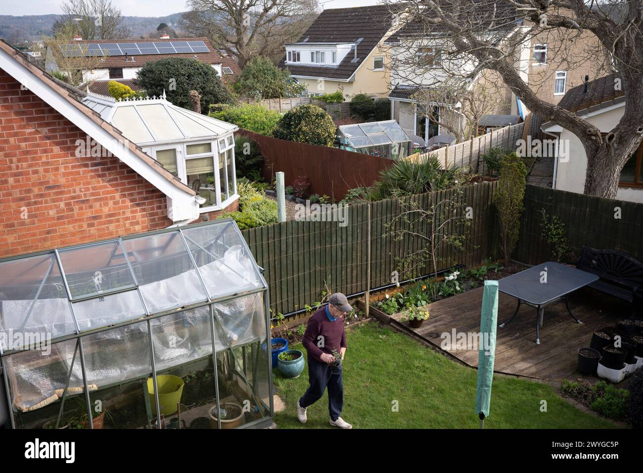 An elderly pensioner walks from his greenhouse where back gardens of