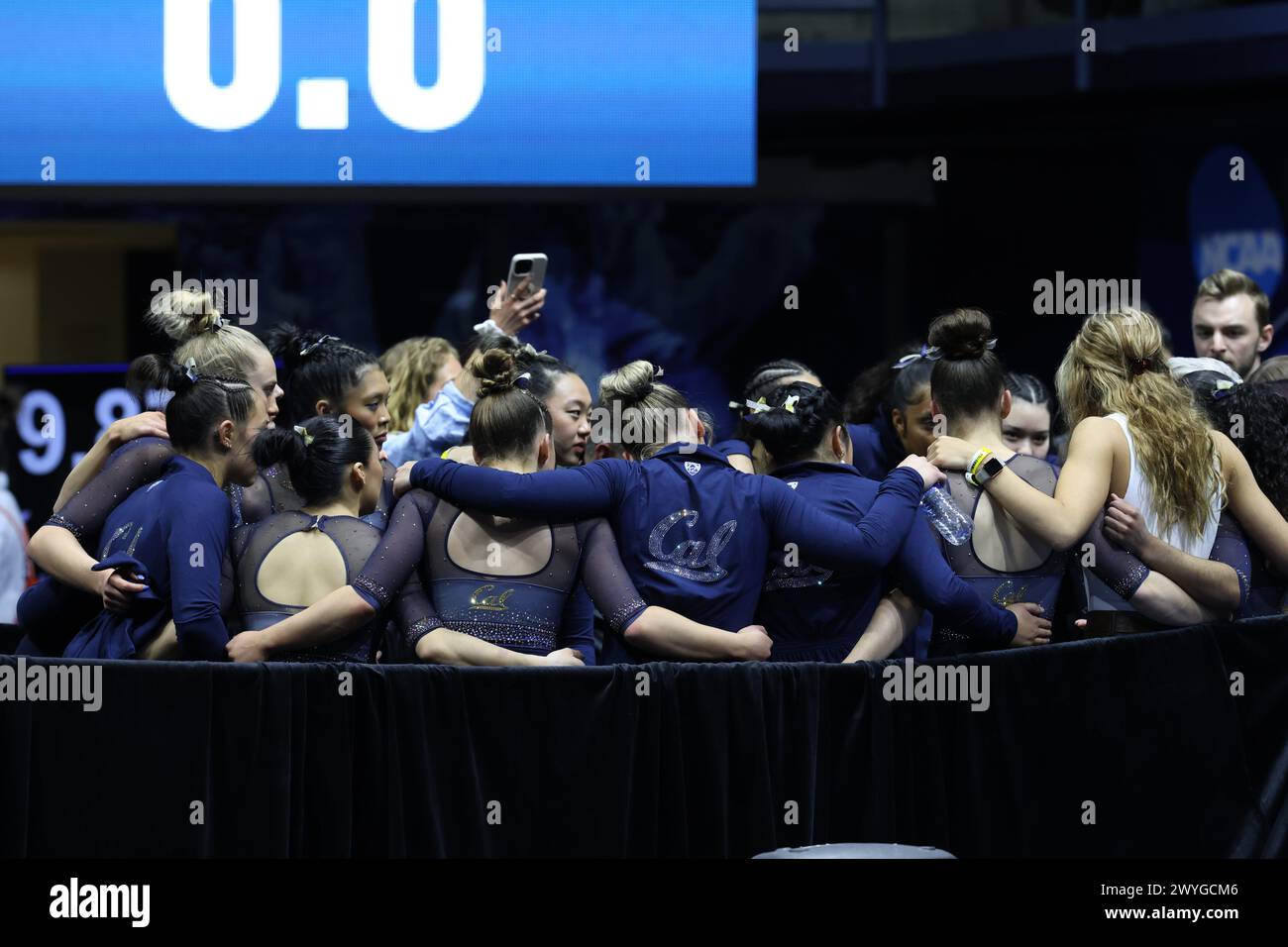 April 5, 2024: University of California Berkeley gymnasts huddle after ...