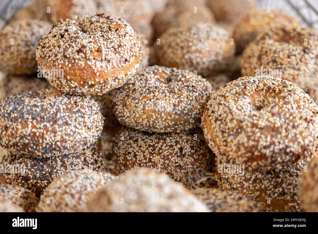 Everything Bagels Stock Photo