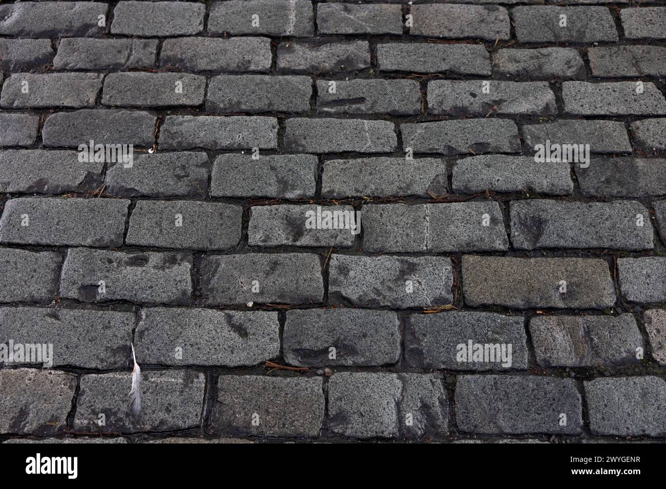 Cobblestones Stock Photo