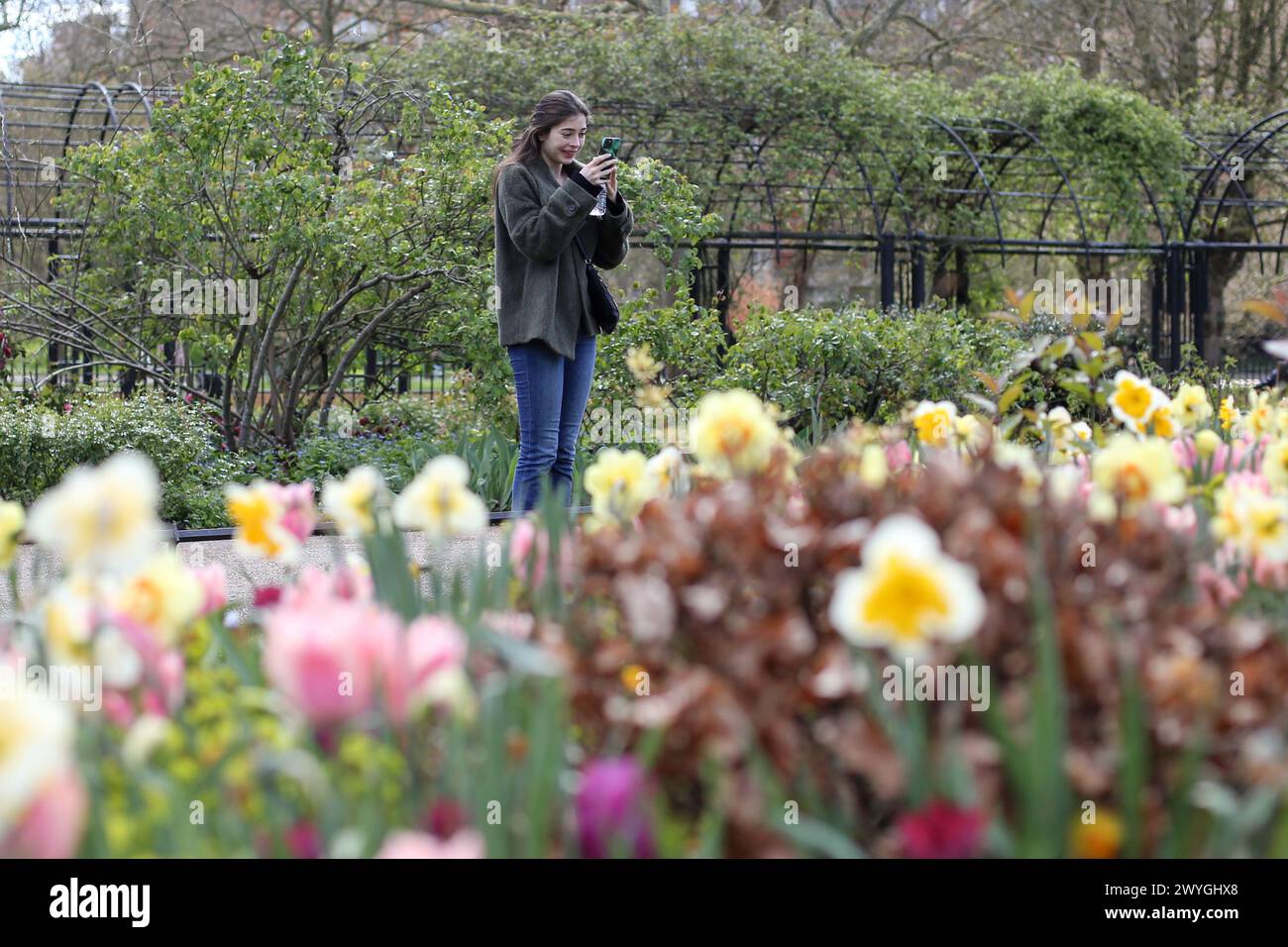 London, UK. 30th Mar, 2024. A woman stops to take photographs of the spring flowers in Hyde Park in London on a sunny spring day. Weather forecasters are expecting warmer temperature over the next few days. (Photo by Steve Taylor/SOPA Images/Sipa USA) Credit: Sipa USA/Alamy Live News Stock Photo