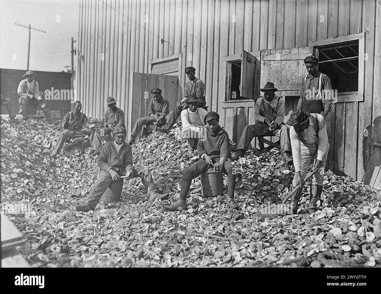 Young boys Oyster shuckers at Apalachicola, Florida, USA. This work is carried on by many young boys during the busy seasons, January 1909  Vintage American Photography 1910s. Child Labour Project.  Credit: Lewis Hines Stock Photo