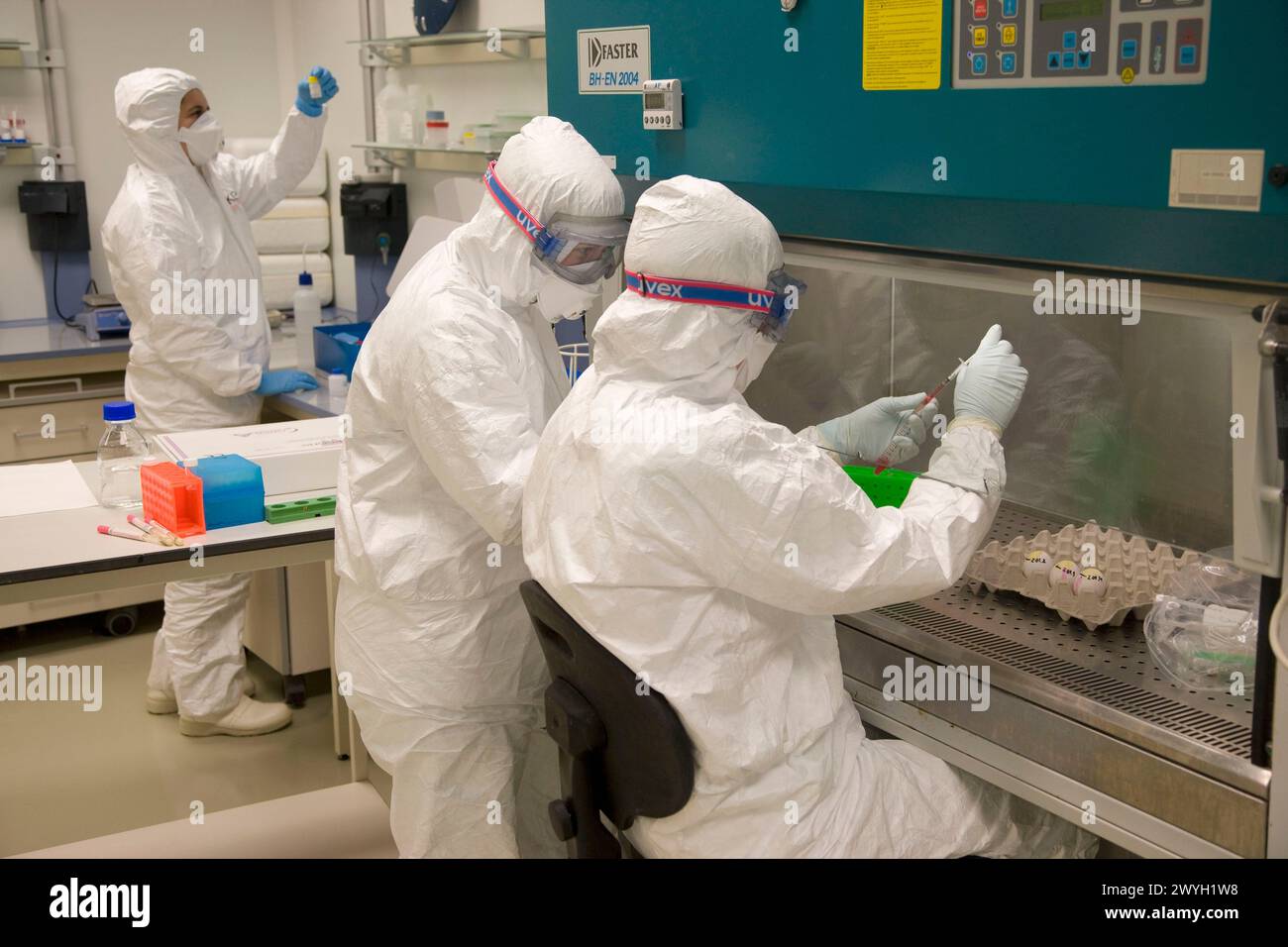 Egg inoculation, Laboratory of Bio-Safety Level P3, Departamento de ...