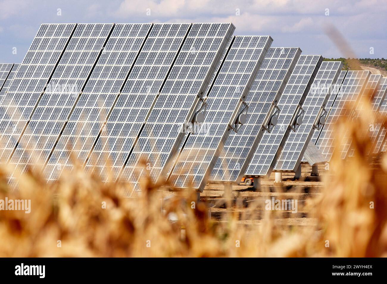 Corn field, solar panels, photovoltaics, solar power plant, Villafranca