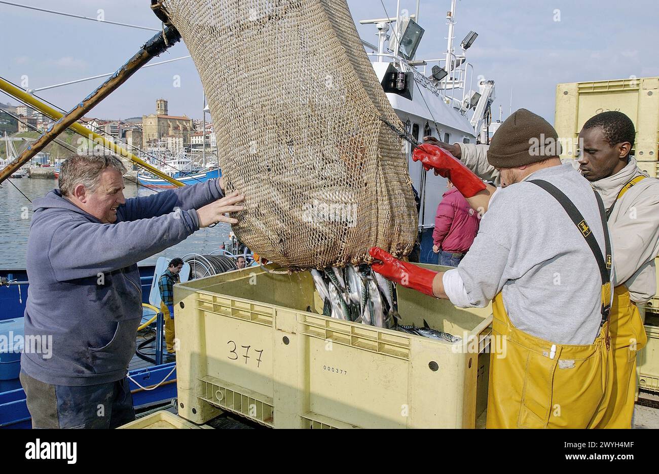 Unloading Fish Fishing boats crates nets hi-res stock photography and images - Alamy