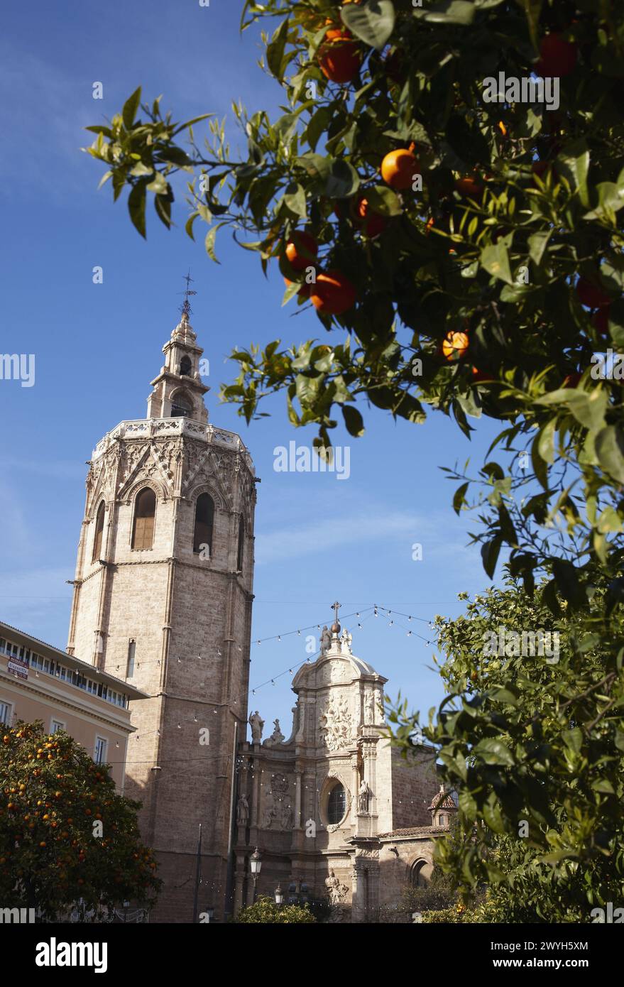 ´Micalet´ belfry and cathedral, Plaça de la Reina, Valencia. Comunidad Valenciana, Spain. Stock Photo
