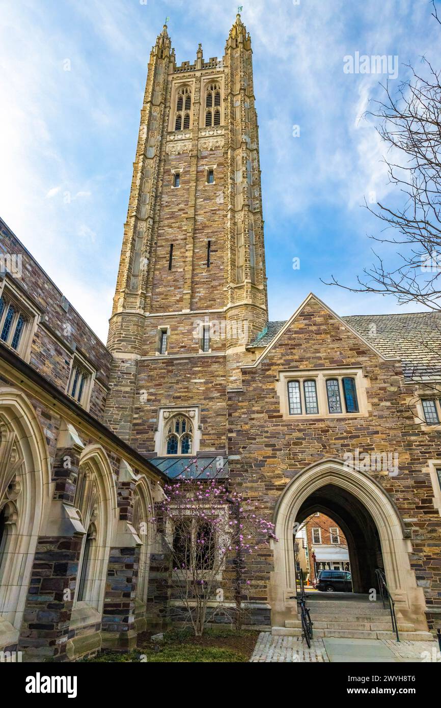 Madison ivy hi-res stock photography and images - Alamy