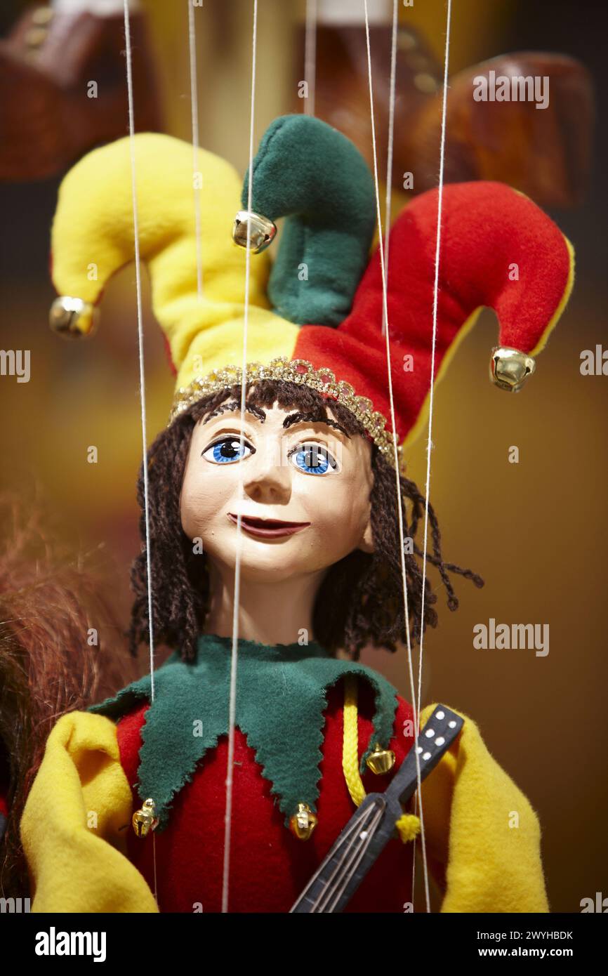 Puppet visual data 6