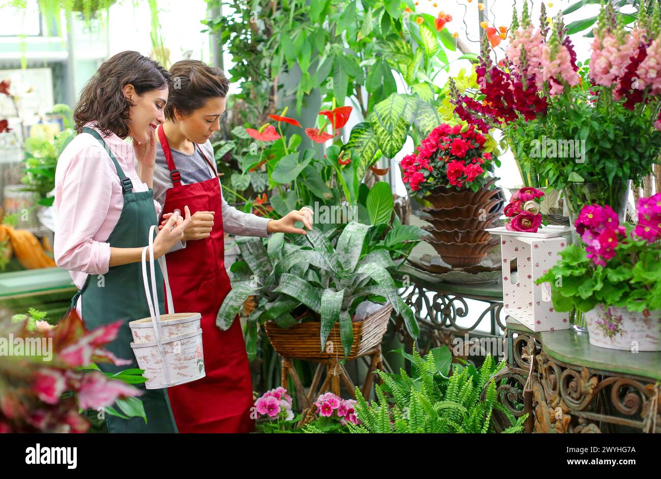 Closed florists shop hi-res stock photography and images - Alamy