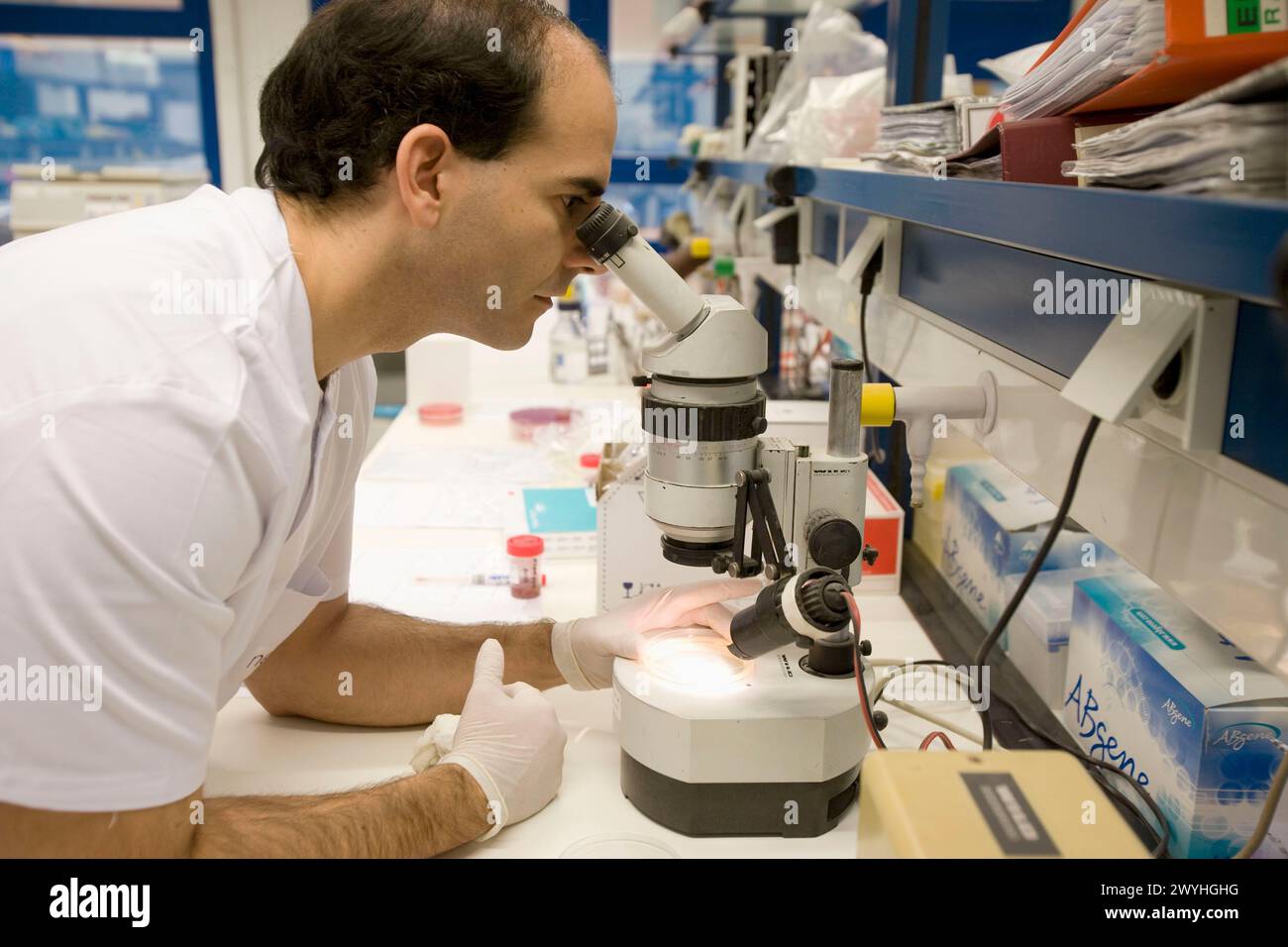 Examining plates, Laboratory of Diagnosis, Departamento de Producción y ...
