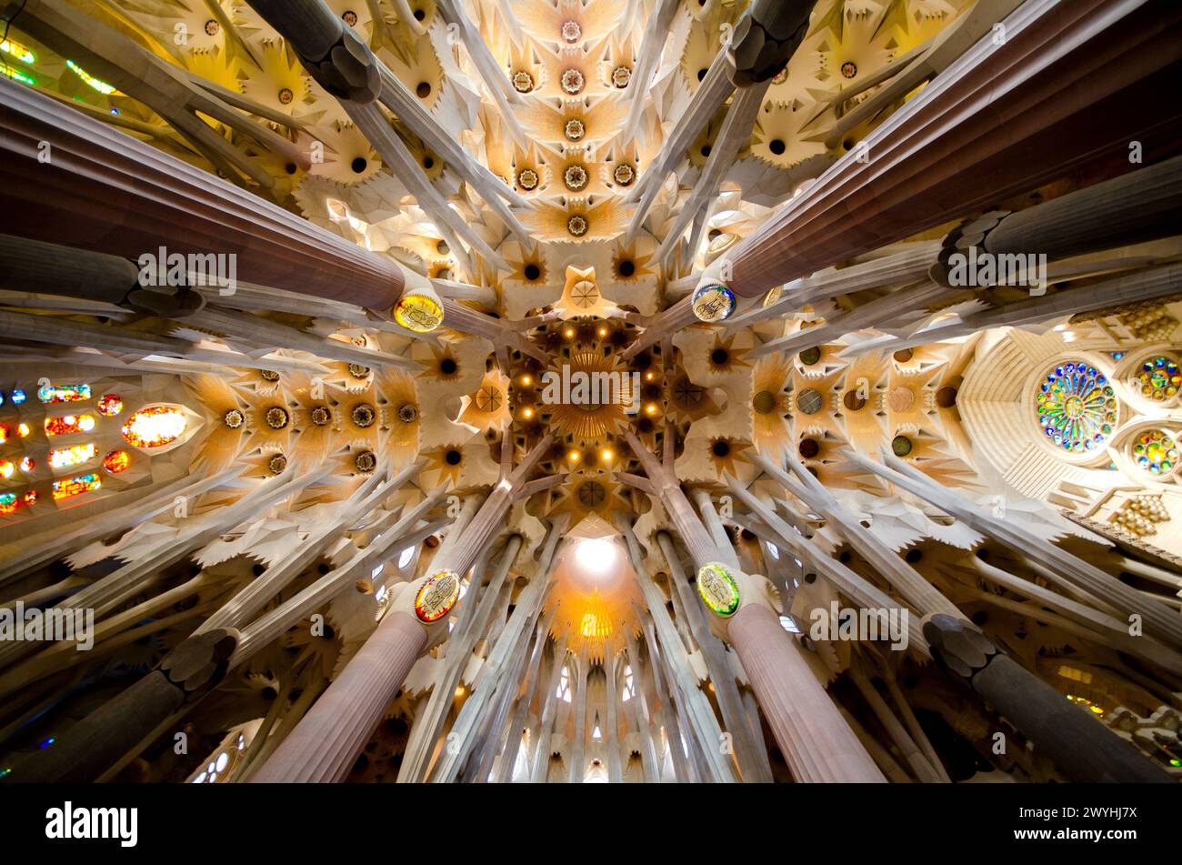 The interior ceiling of the Basílica de la Sagrada Família, showcasing ...