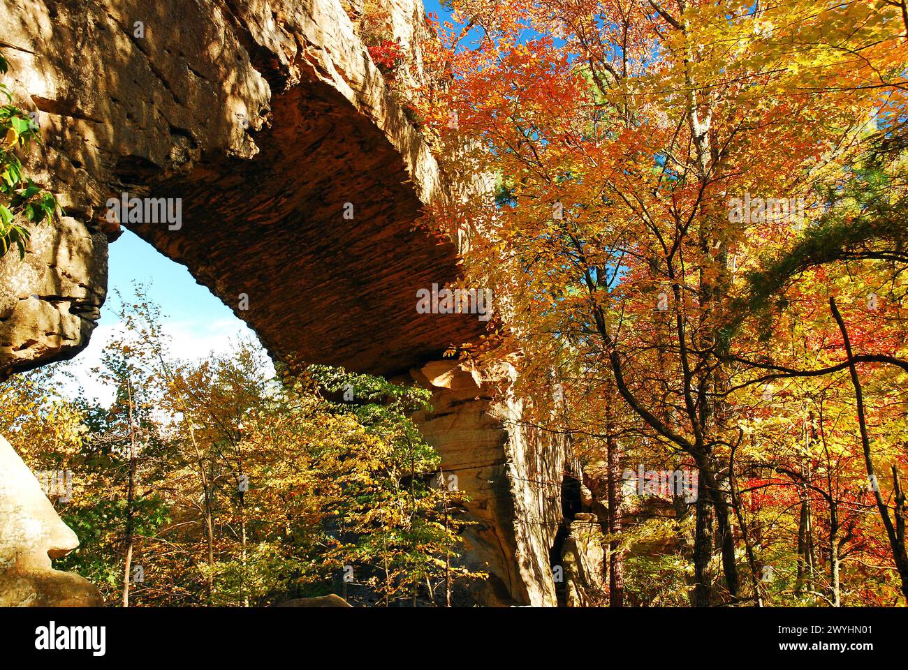 Autumn foliage surrounds a Natural stone Bridge at the Natural Bridge State Park in Kentucky on a sunny fall day Stock Photo