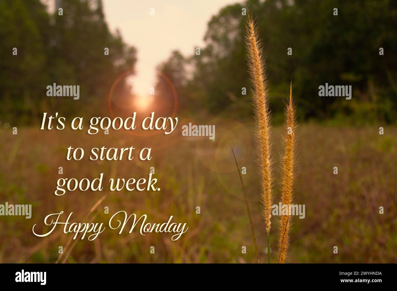 900+ Tuesday Blessings Images, Prayers and Quotes, image size:1300x953