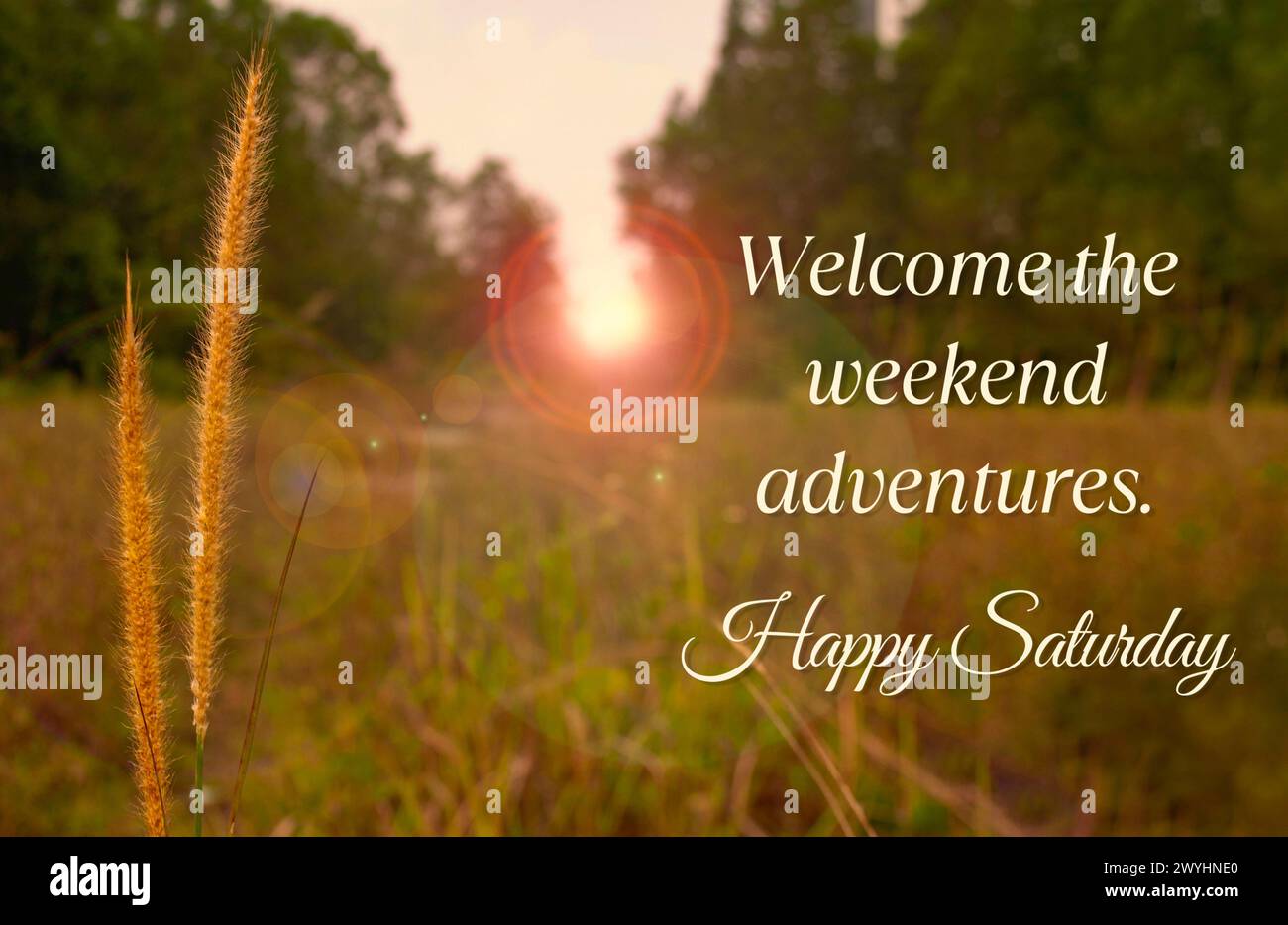 Welcome the weekend adventures. Happy Saturday greetings Stock Photo ...