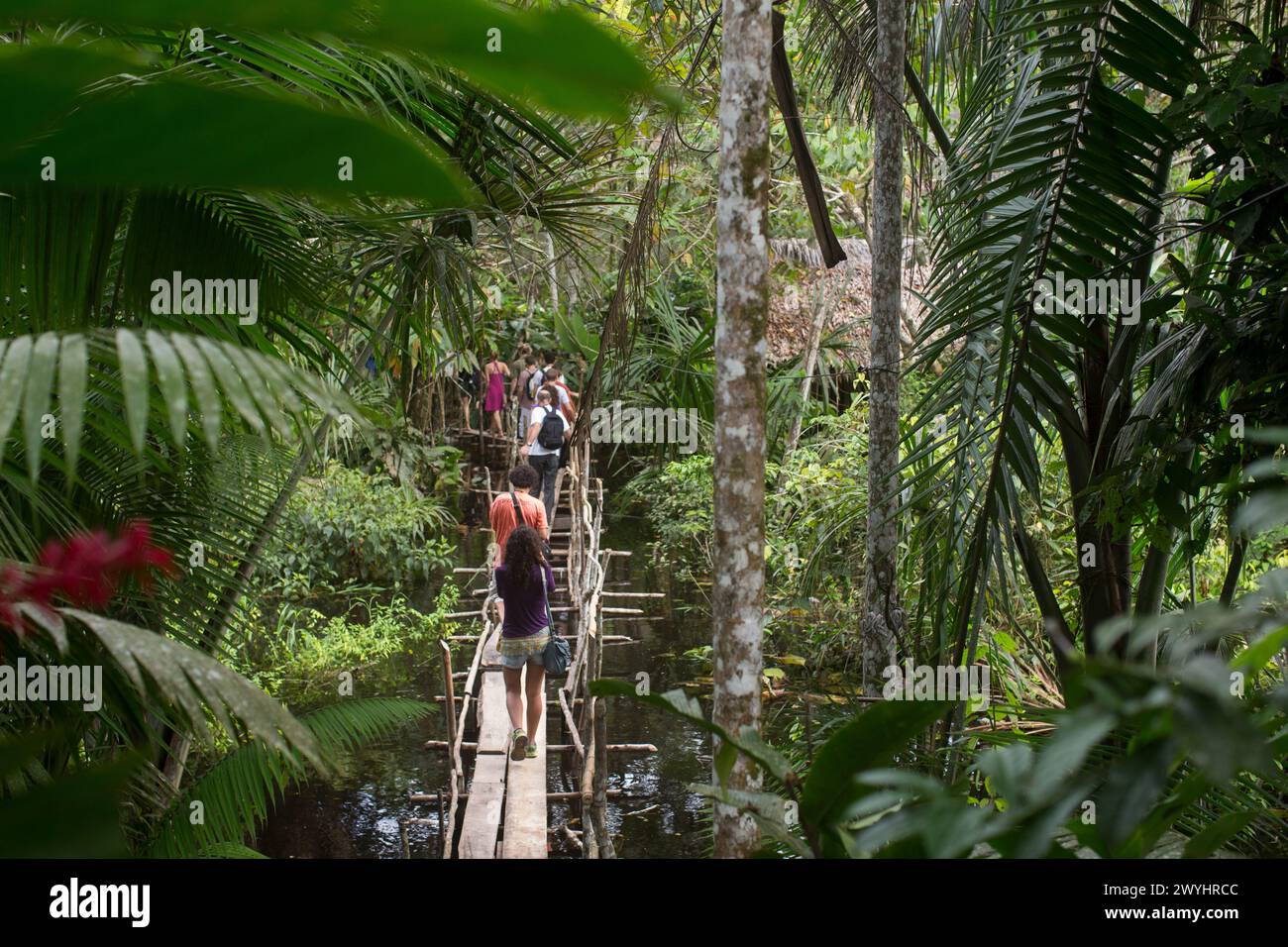 a-tour-of-pilpintuwasi-wildlife-rescue-center-butterfly-farm-and