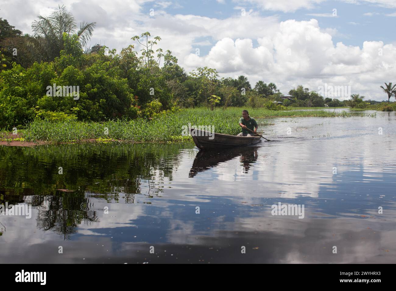 A tour of Pilpintuwasi Wildlife rescue center, butterfly farm, and sanctuary near Iquitos Peru in the Loreto region on the Amazon River Stock Photo