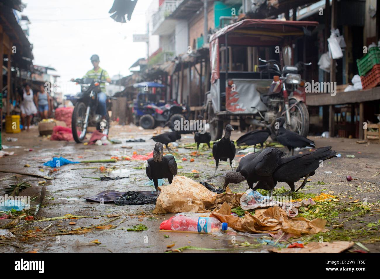 Scenes from Belen Market in the Amazon jungle city of Iquitos where the Rio Itaya meets the Rio Amazonas Stock Photo