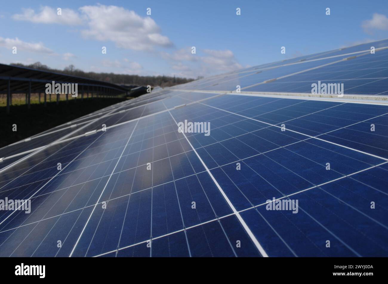 Rows of solar panels producing green energy Stock Photo - Alamy