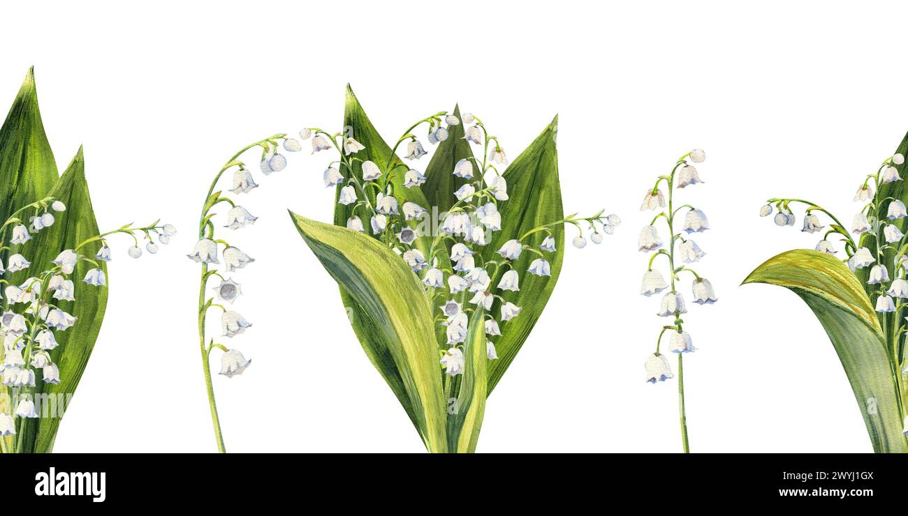 Seamless border with spring lily of the valley flowers. Watercolor ...