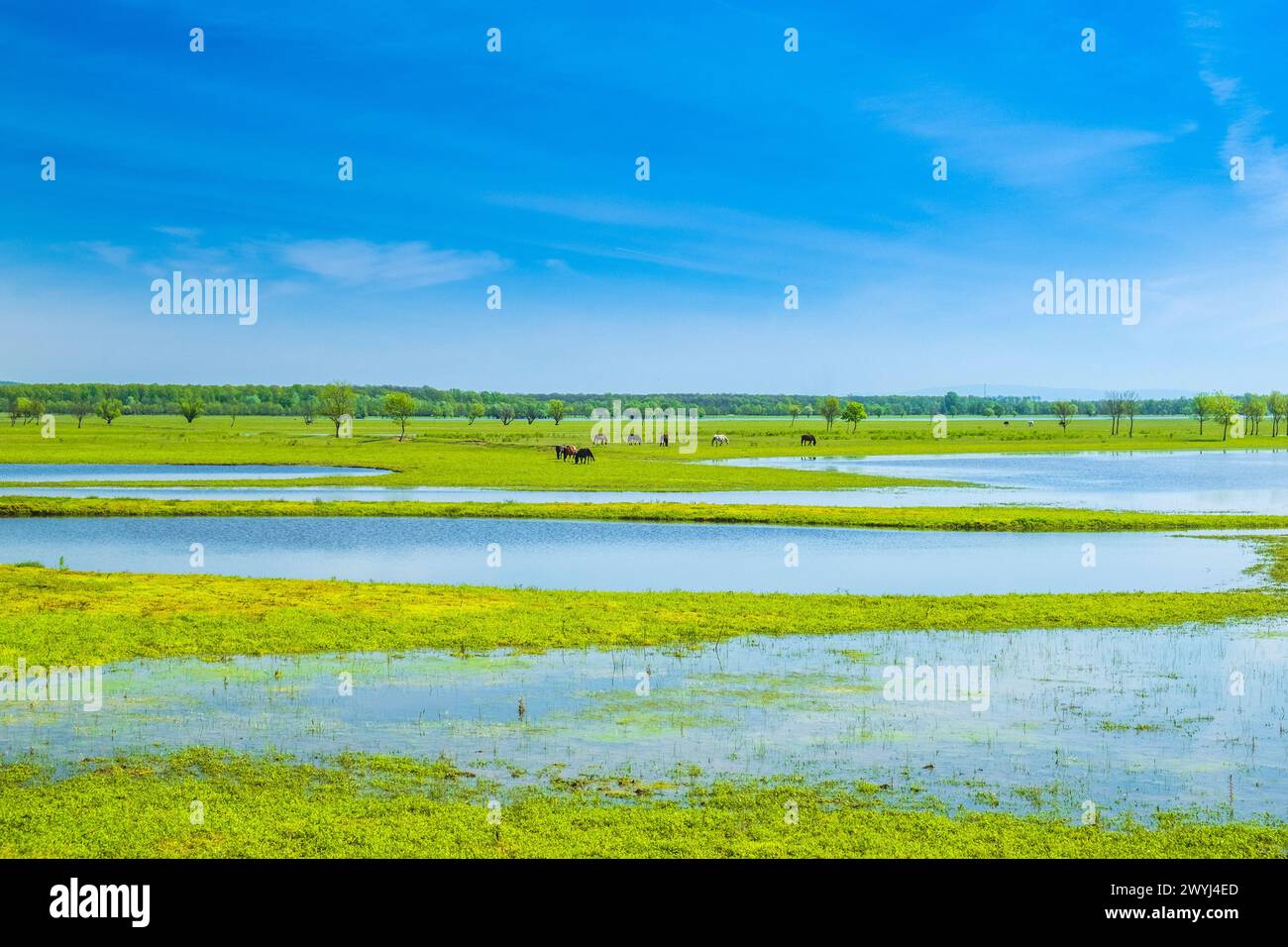 Polje aerial hi-res stock photography and images - Alamy