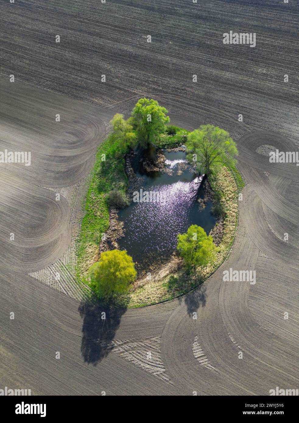 Sachsendorf, Germany. 07th Apr, 2024. Spring in the Oderbruch (aerial