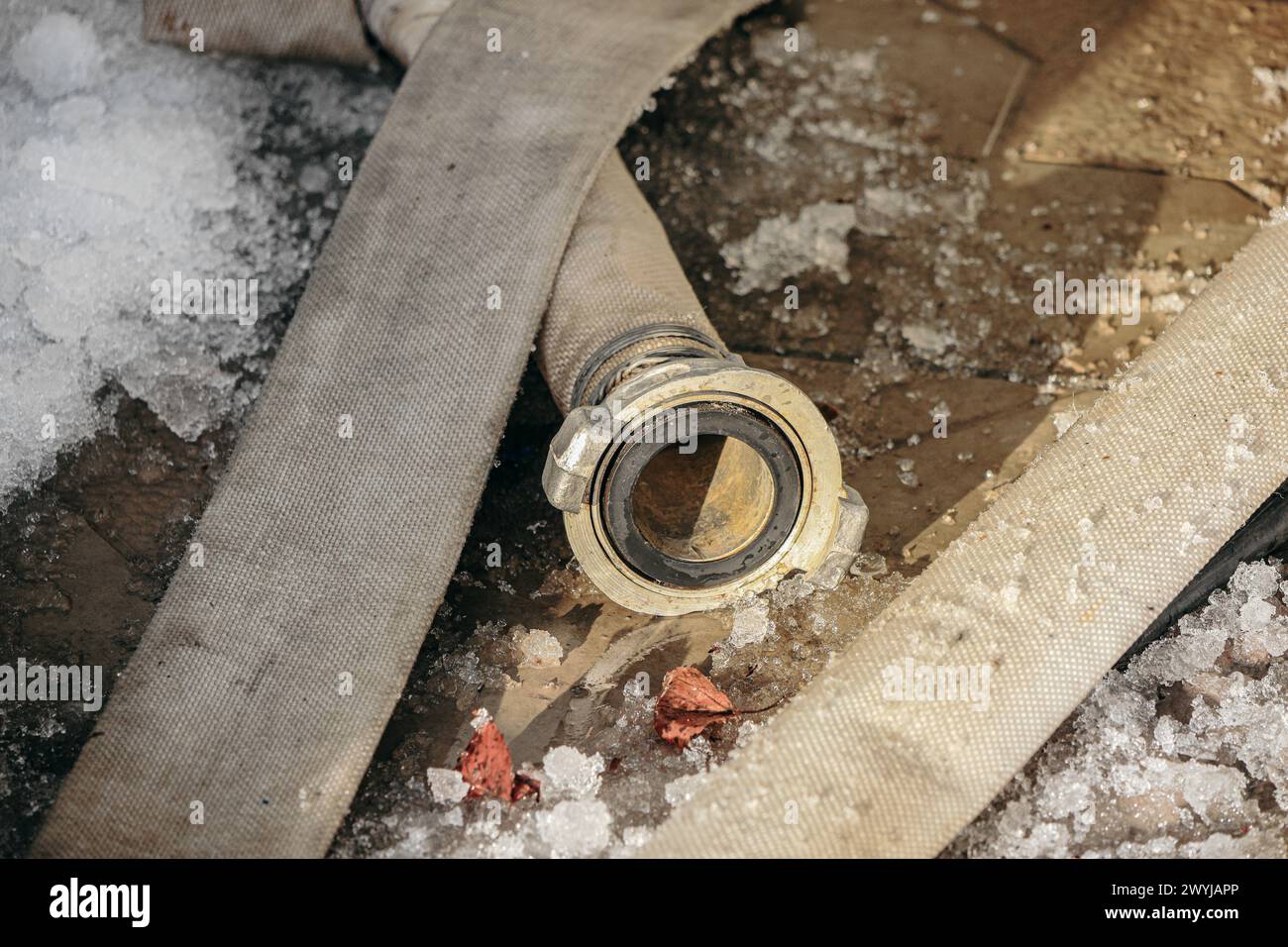 There is a fire hose with ice on the ground. Hose is bent and kinked