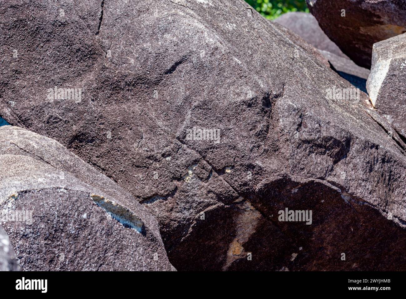 Black Mountain (Kalkajaka) National Park. Grey granite boulders are blackened by a film of microscopic blue-green algae growing on the exposed surface Stock Photo