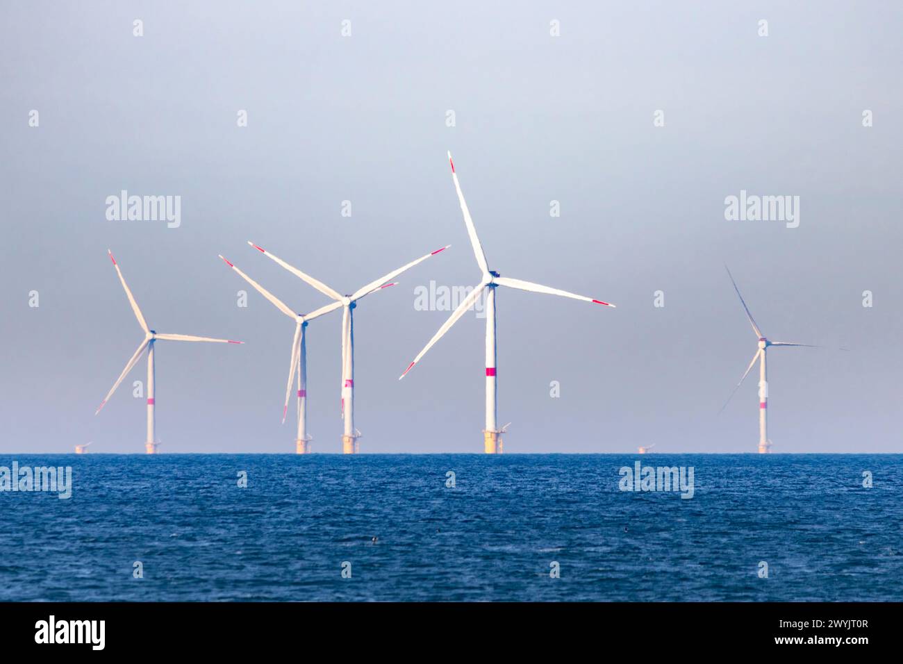 France, Seine Maritime, Pays de Caux, Alabaster coast, Yport, 5 wind turbines of Fecamp offshore wind farm Stock Photo