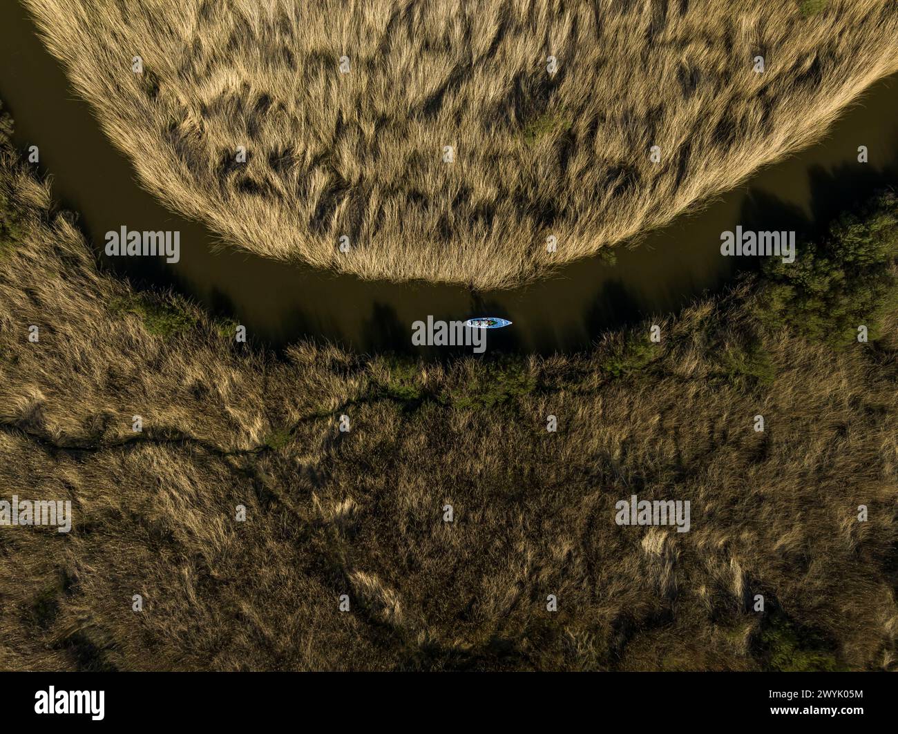 France, Gironde, Bassin d'Arcachon, Biganos, Leyre river delta, paddle bike (aerial view) Stock Photo