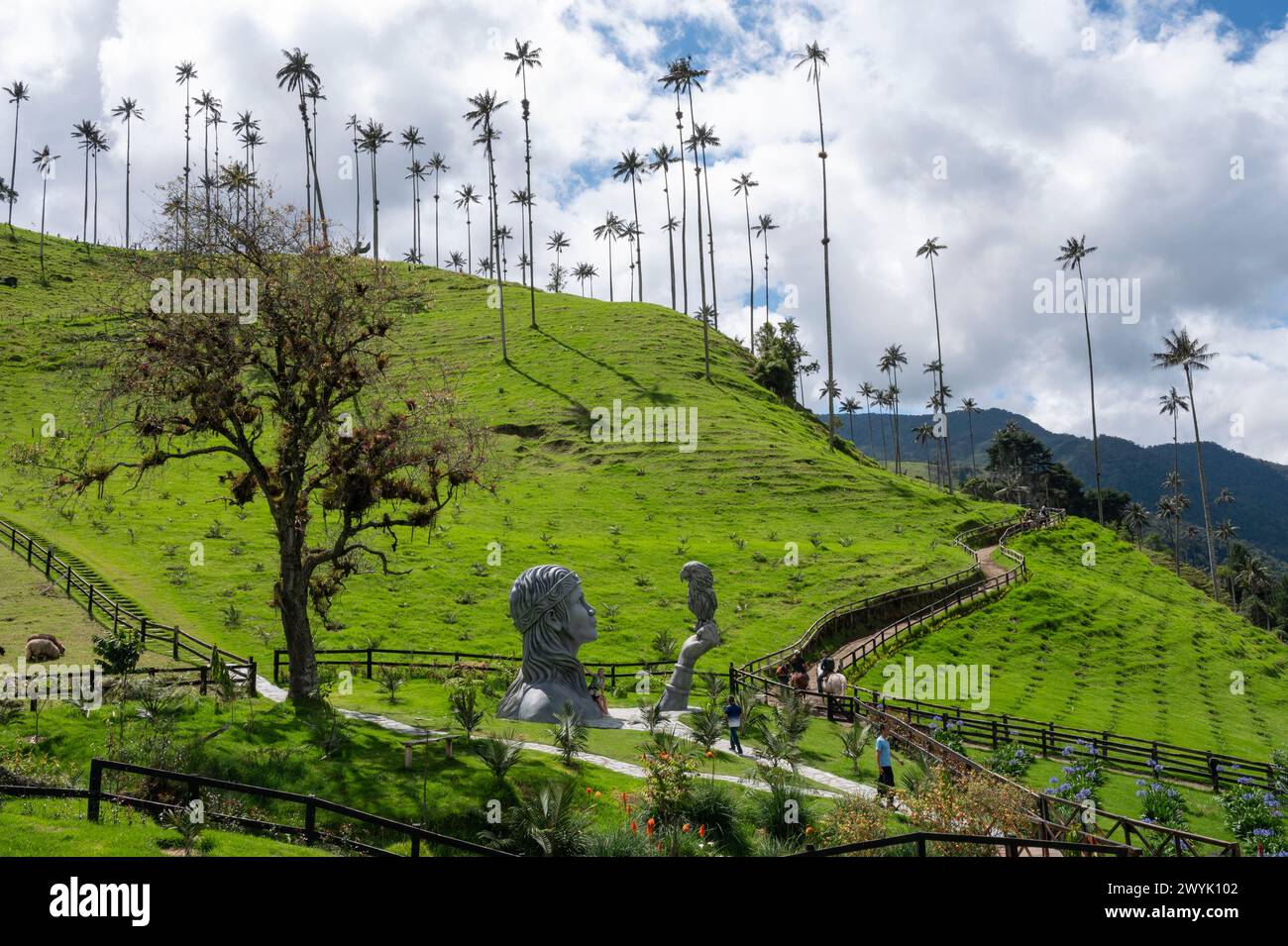 Colombia, Quindio district, Salento, National Natural parc Los Nevados Stock Photo