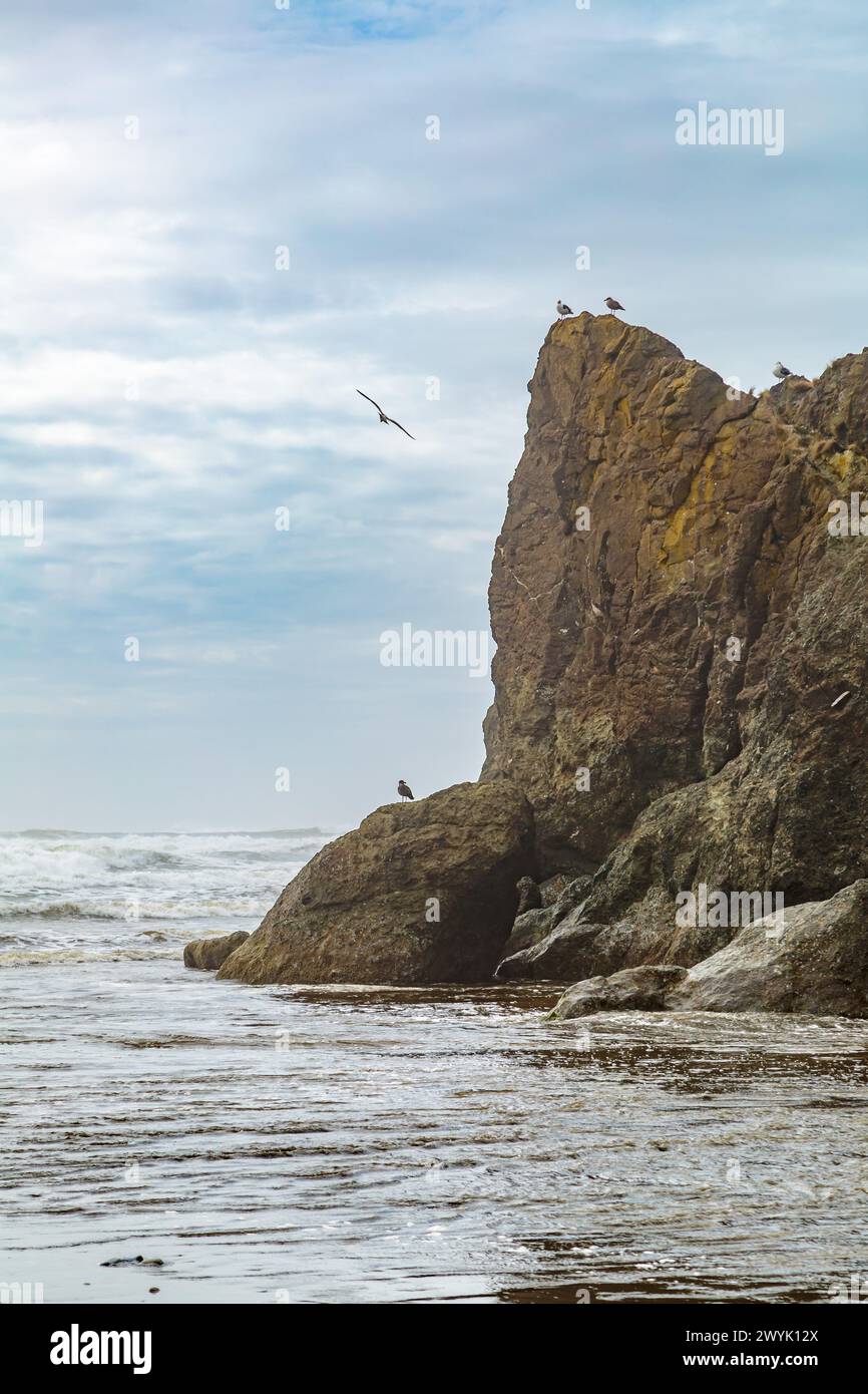 Large rock seastack at Ruby Beach in the Olympic National Park near Forks, Washington Stock Photo