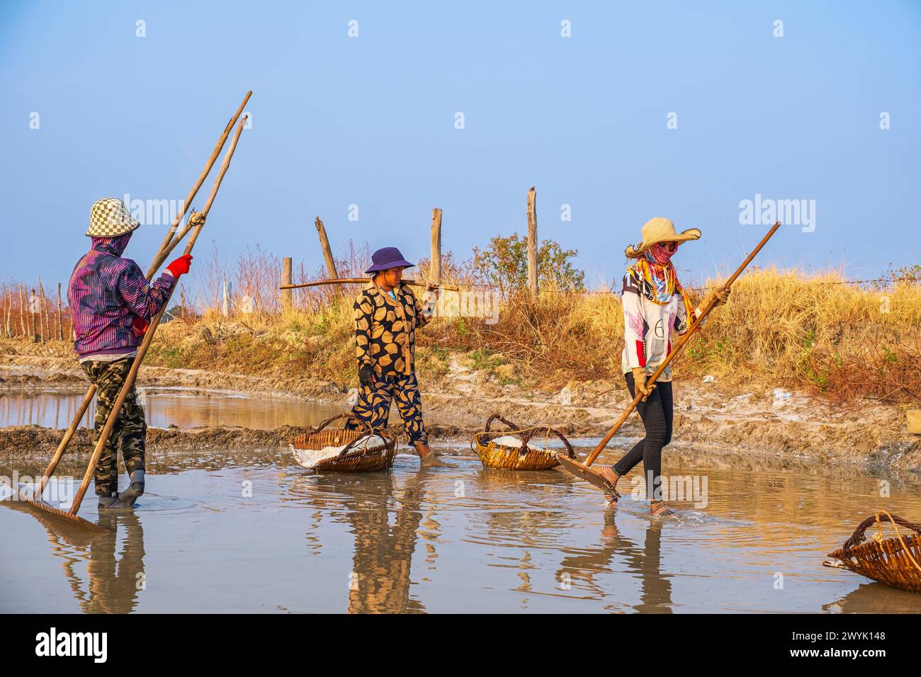 Cambodia, Kampot province, Kampot, Traeuy Kaoh or Fish Island, salt marshes, salt harvest Stock Photo