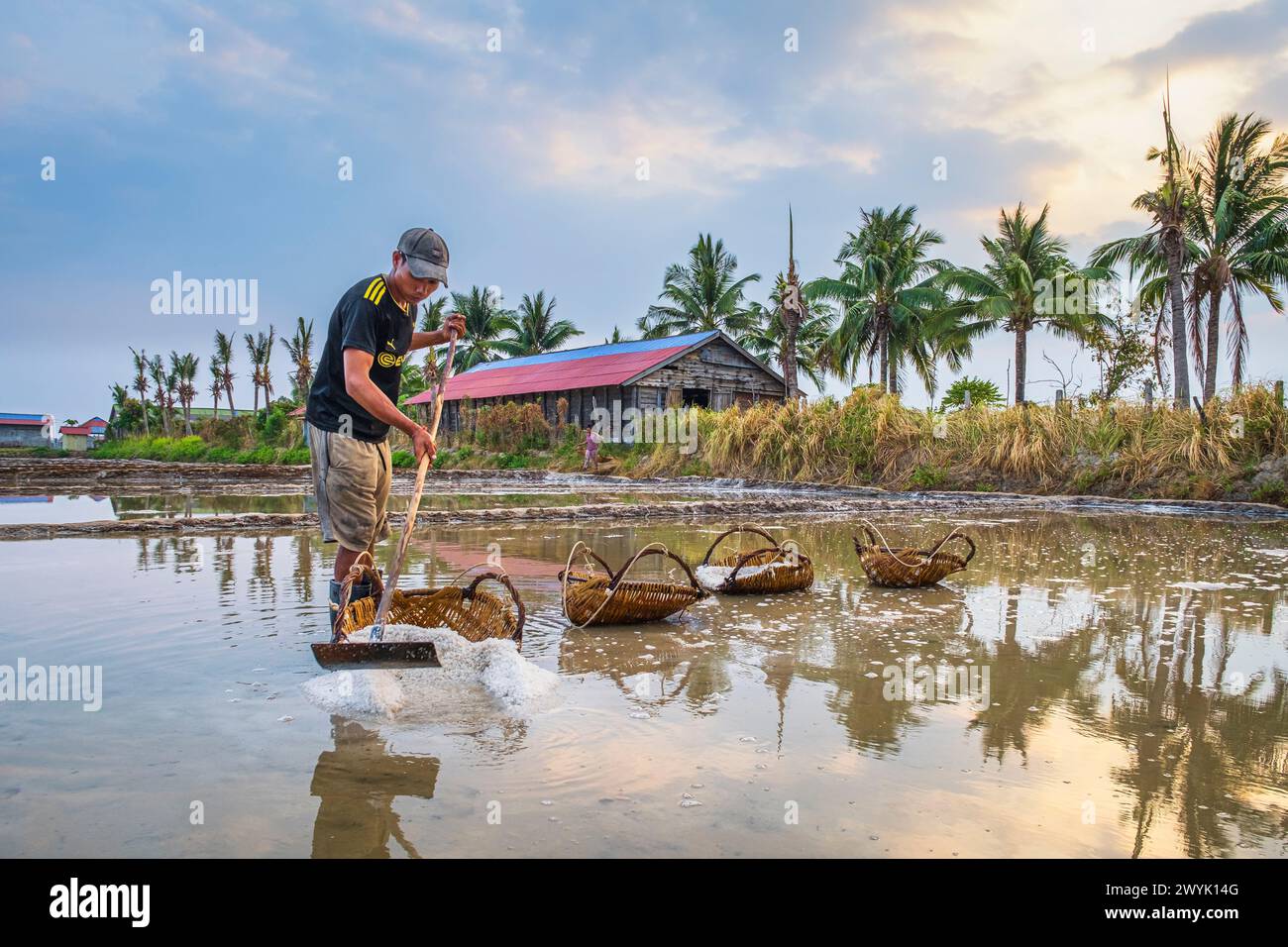 Cambodia, Kampot province, Kampot, Traeuy Kaoh or Fish Island, salt marshes, salt harvest Stock Photo