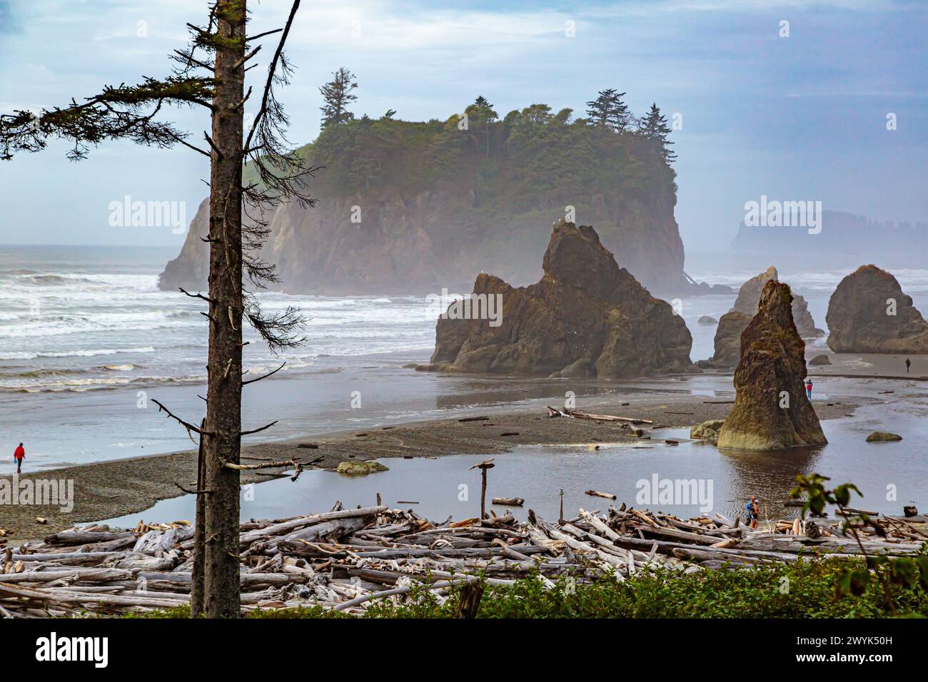 Large rock seastacks at Ruby Beach in the Olympic National Park near