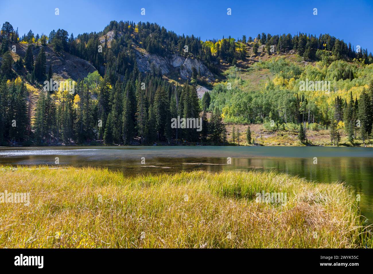 Silver Lake In Big Cottonwood Canyon Near Salt Lake City Utah Stock silver-lake-in-big-cottonwood-canyon-near-salt-lake-city-utah-stock