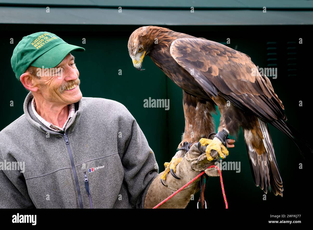 Pictured: Saphire the Golden Eagle  and  Ray Lowden from the Kielder Bird of Prey The UK’s first ever Golden Eagle Festival, orga Stock Photo
