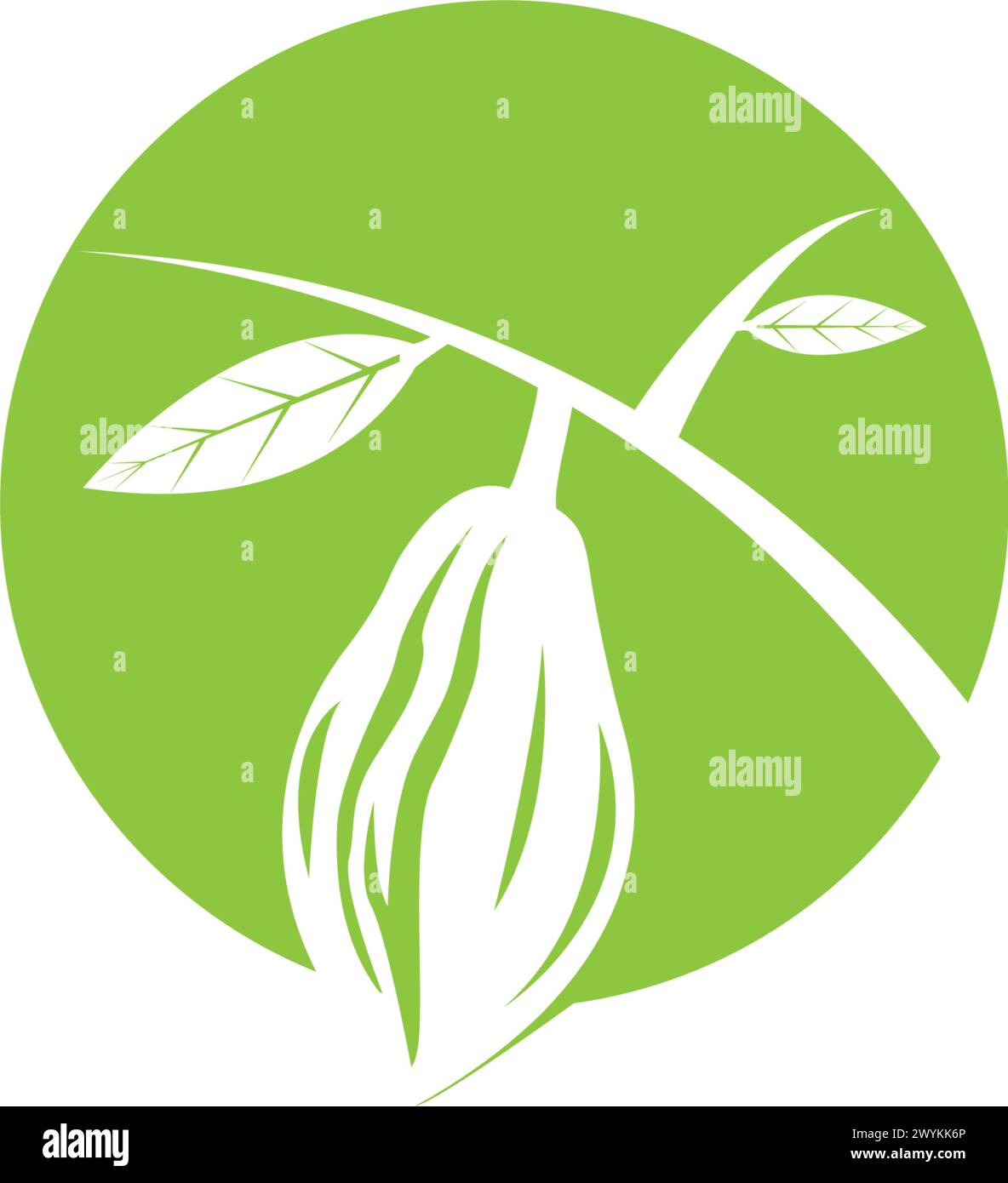 Cacao, cocoa logo vector icon illustration design Stock Vector