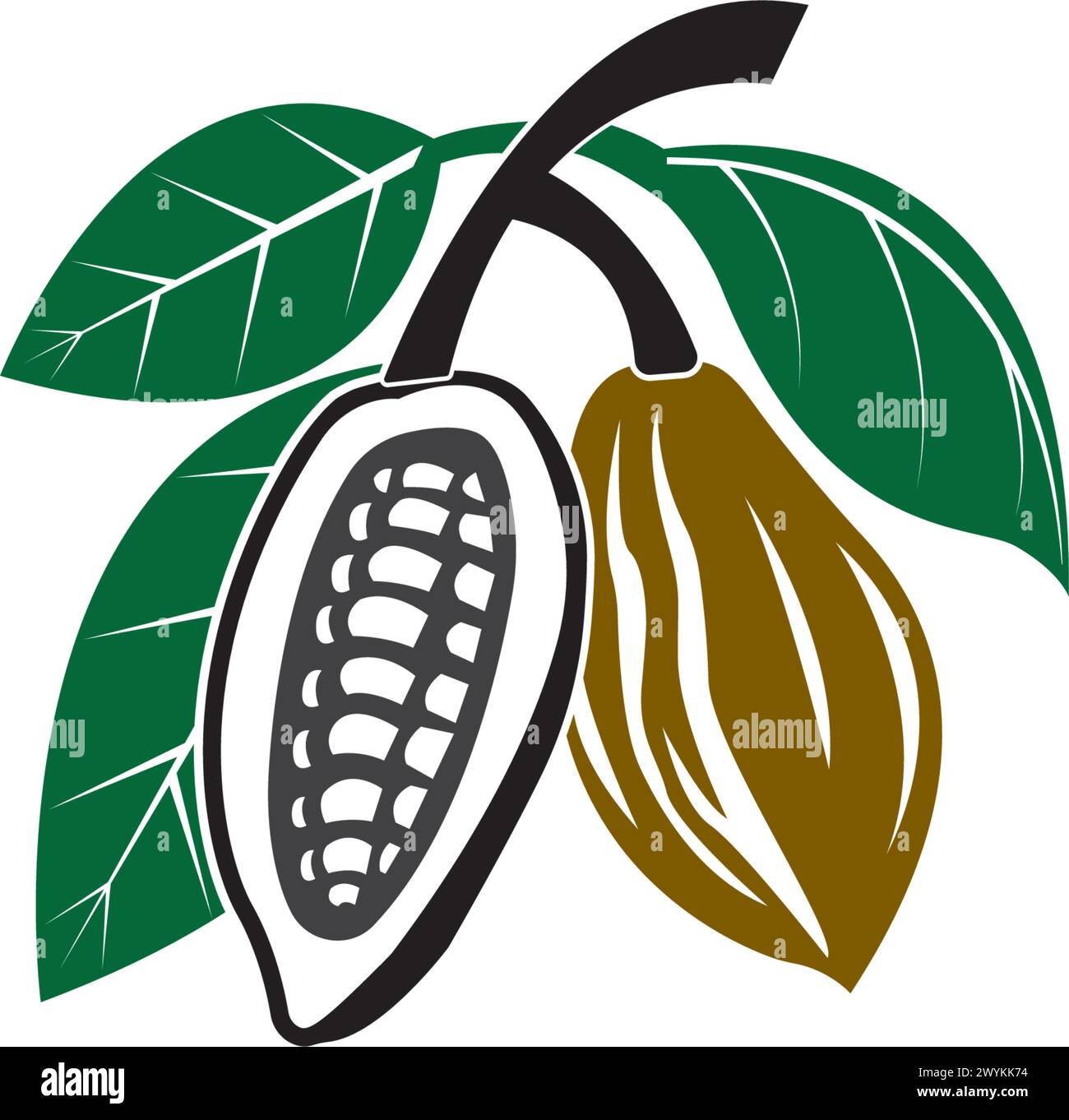 Cacao, cocoa logo vector icon illustration design Stock Vector
