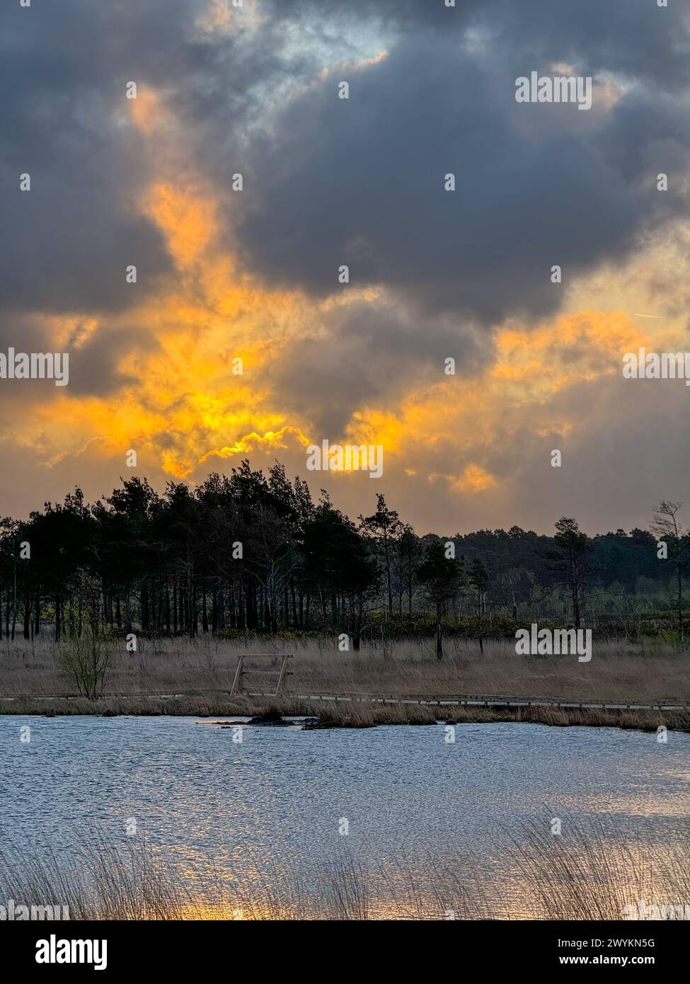 07th april 2024 hires stock photography and images Alamy