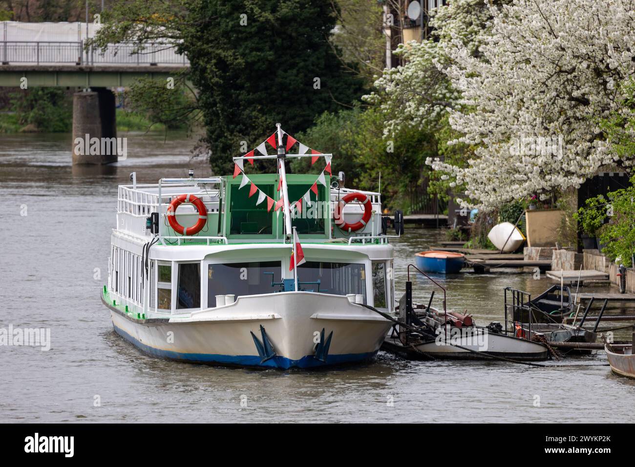 Bamberg im Frühling Klein Venedig in Bamberg, idyllisch an der Regnitz gelegen, zählt zu den begehrtesten Fotomotiven für Touristen, die die fränkische Bierstadt besuchen. Hier liegen auch die Ausflugsschiffe der beliebten PersonenÂschifffahrt Kropf an. Das Foto zeigt das Schiff Christl , während es vor den historischen Fachwerkhäusern der Fischerzunft in Klein Venedig anlegt. Bamberg Bayern Deutschland *** Bamberg in springtime Klein Venedig in Bamberg, idyllically situated on the Regnitz, is one of the most popular photo motifs for tourists visiting the Franconian beer city The excursion boa Stock Photo