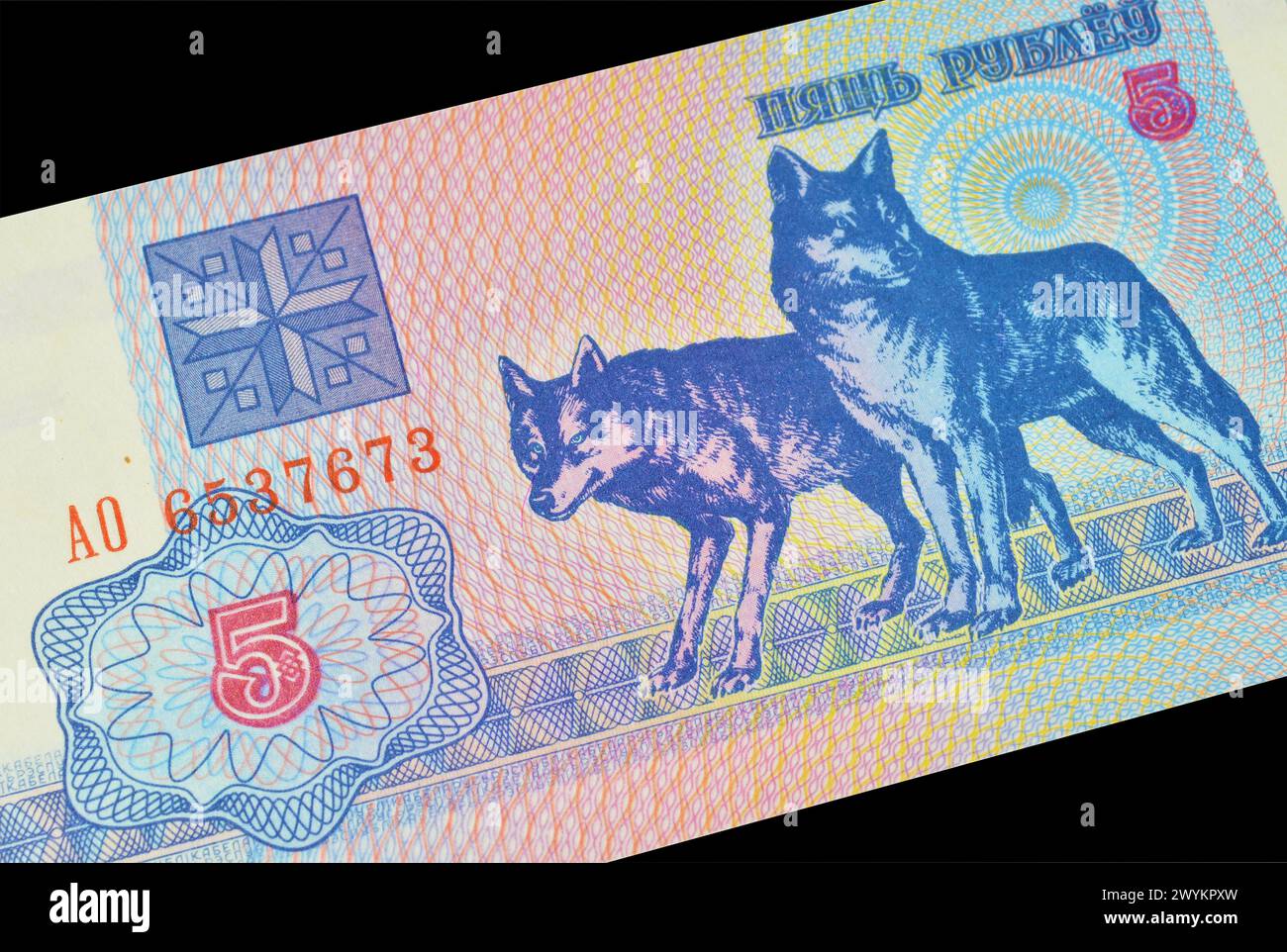 Reverse of 5 Rubles banknote printed by Belarus, that shows Wolves Stock Photo