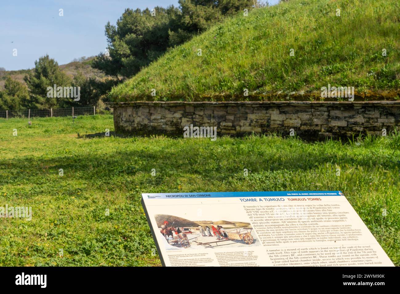 Tomb of the chariots, Etruscan tomb in Necropolis of San Cerbone, Archaeological Park of Baratti and Populonia, province of Livorno, Tuscany, Italy Stock Photo