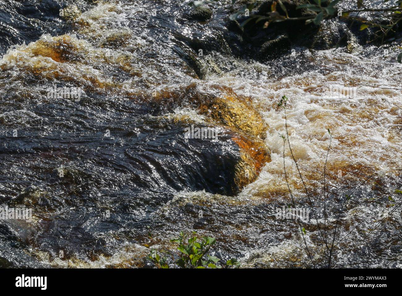 Peat river Ireland, peat-coloured water in River Glen a spate river south-west Donegal near Teelin. Stock Photo