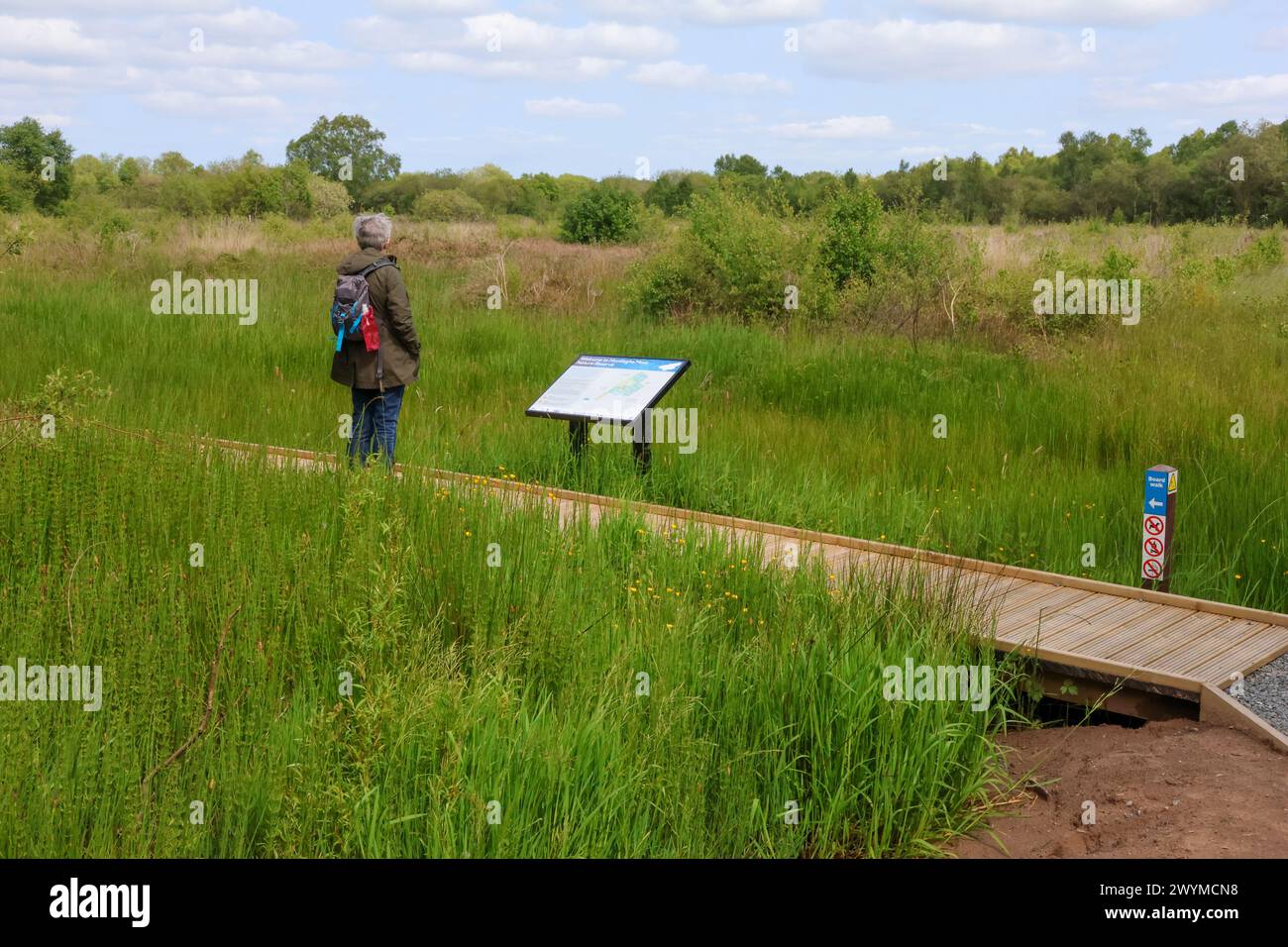 Montiaghs moss reserve hi-res stock photography and images - Alamy